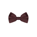Dolce & Gabbana Burgundy Silk Bowtie
