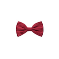 Dolce & Gabbana Red Silk Bowtie